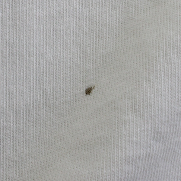 Vintage Lands' End Graphic T-Shirt Women's Size Medium Flawed