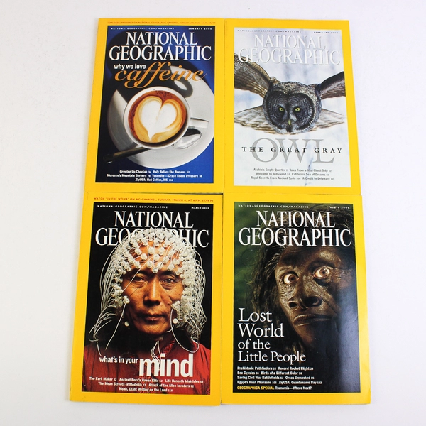 Lot of 10 2005 National Geographic Magazines Missing June & November Issues