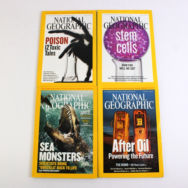 Lot of 10 2005 National Geographic Magazines Missing June & November Issues