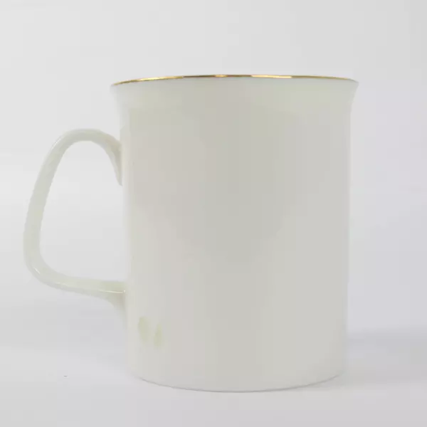 Banawe Canada Niagara Falls Souvenir Mug Gilded Rim Collectible Gift Cup