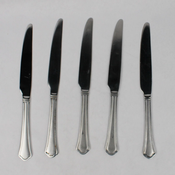 Lot Of 5 Pfaltzgraff Capri Frost (Stainless) Flatware French Solid Knives