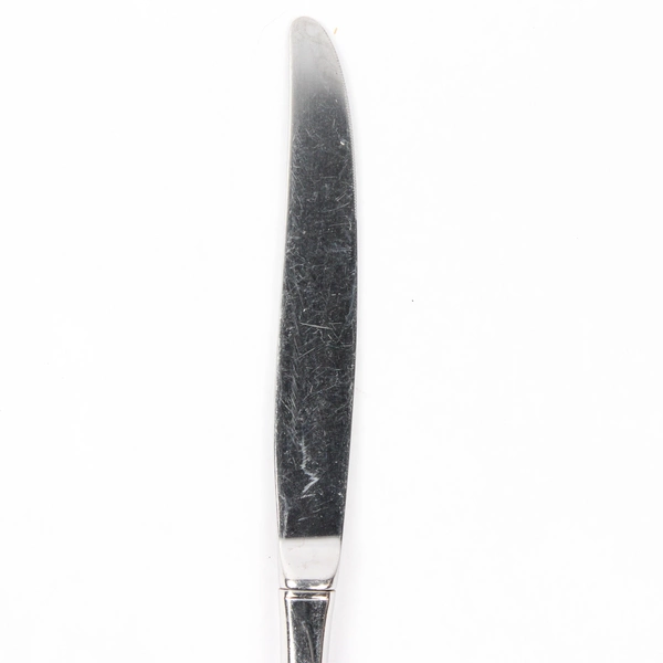 Oneida Calla Lily Stainless Steel Dinner Knife