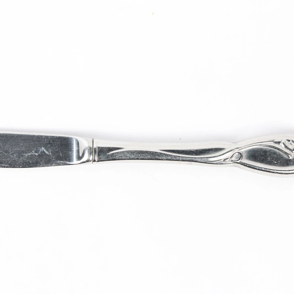Oneida Calla Lily Stainless Steel Dinner Knife