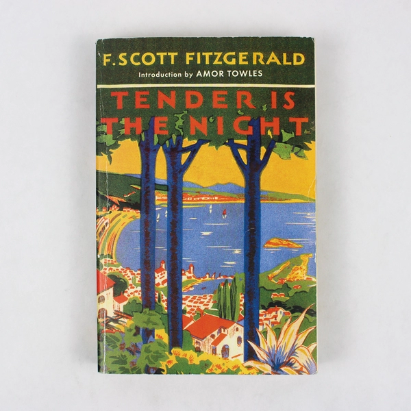 Tender Is the Night by F. Scott Fitzgerald 2019 Paperback 