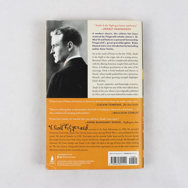 Tender Is the Night by F. Scott Fitzgerald 2019 Paperback 