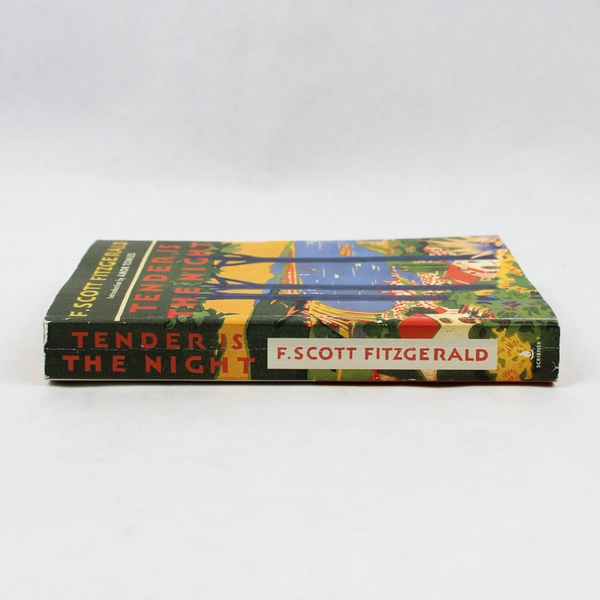 Tender Is the Night by F. Scott Fitzgerald 2019 Paperback 