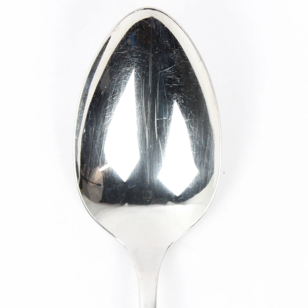 Lot Of 2 Oneida Silver Lasting Rose (Stainless) Flatware Serving Spoon & Fork