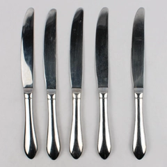 Lot of 5 International Silver Berkeley Knives Stainless Steel 18/10 Glossy