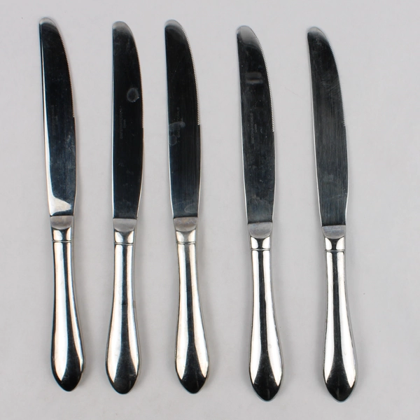 Lot of 5 International Silver Berkeley Knives Stainless Steel 18/10 Glossy