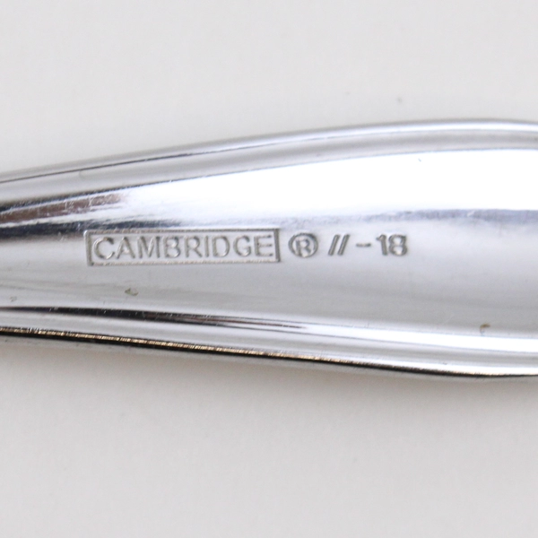 Lot Of 5 Cambridge Silver Allure (Stainless, Glossy) Flatware Dinner Knives