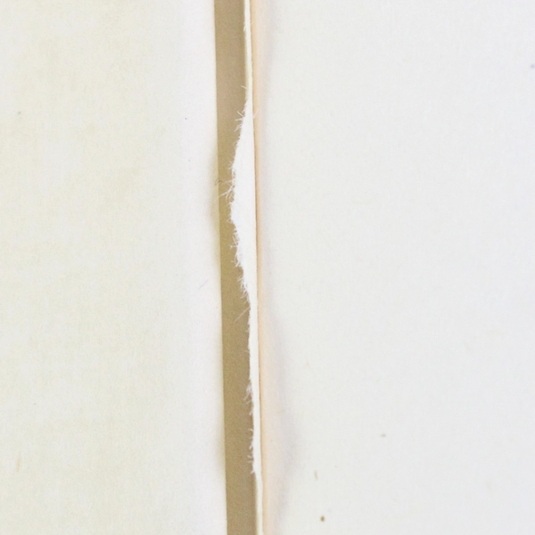 The Indigo Bunting A Memoir of Edna St Vincent Millay Vincent Sheean 1951 HC DJ