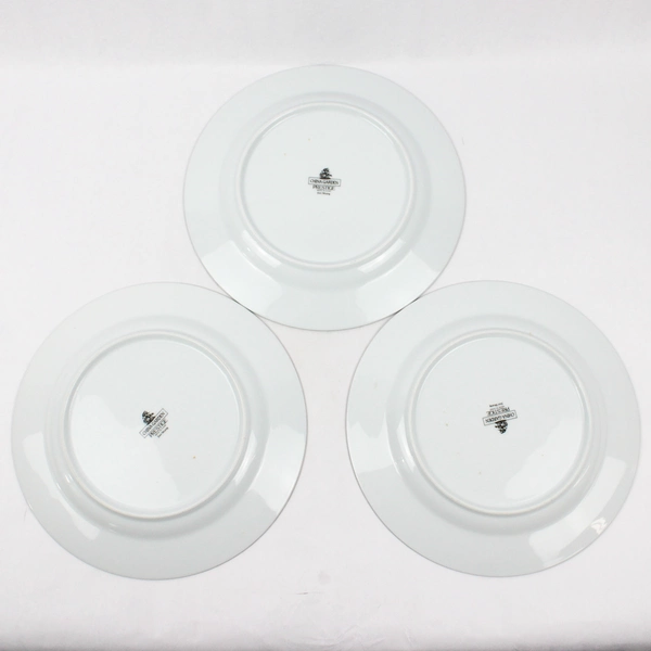 Lot Of 3 Prestige (China) China Garden Patterned Dinner Plates 10.5" Diameter