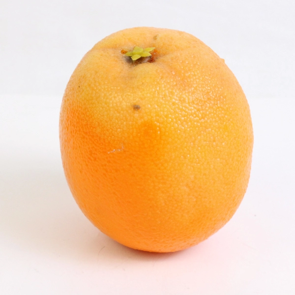 Lot of 8 Weighted Artificial Fruits Apples Pear Orange