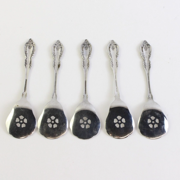 Lot of 5 Oneida Community Brahms (Stainless) Flatware Large Solid Jelly Server