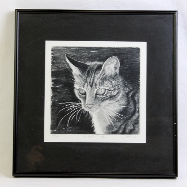 A Nice Tabby 1995 Signed Framed Matted Art Print 172/250