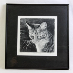 A Nice Tabby 1995 Signed Framed Matted Art Print 172/250