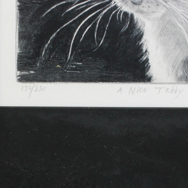 A Nice Tabby 1995 Signed Framed Matted Art Print 172/250