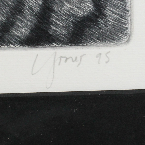 A Nice Tabby 1995 Signed Framed Matted Art Print 172/250