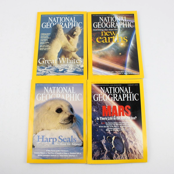 Lot of 11 2004 National Geographic Magazines Missing November Issue