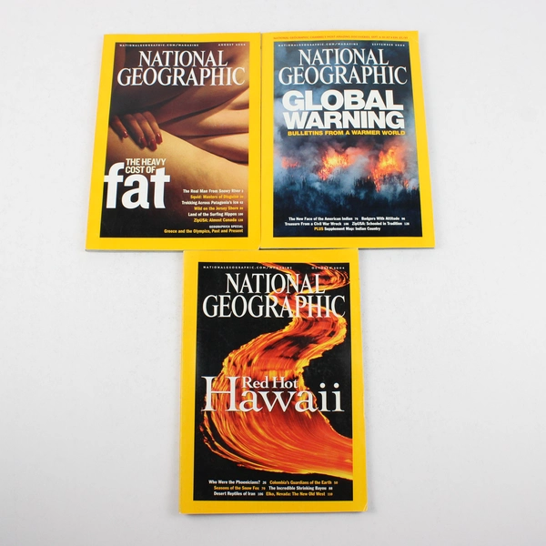 Lot of 11 2004 National Geographic Magazines Missing November Issue