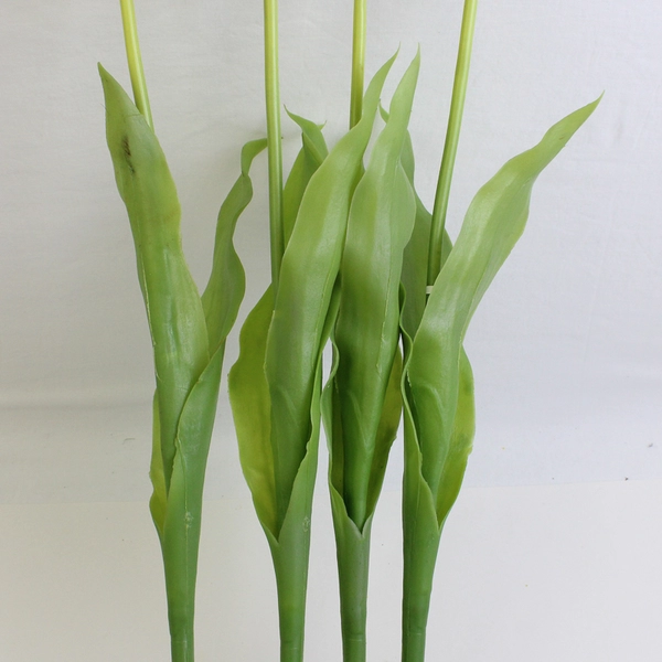 Set of 4 Large Green & White Fake Parrot Tulips 24 Inch Artificial Flowers