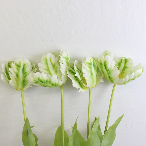Set of 4 Large Green & White Fake Parrot Tulips 24 Inch Artificial Flowers