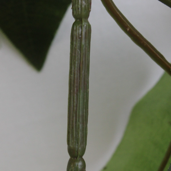 94 Inch Poinsettia Garland with Berries Holiday Christmas Decoration