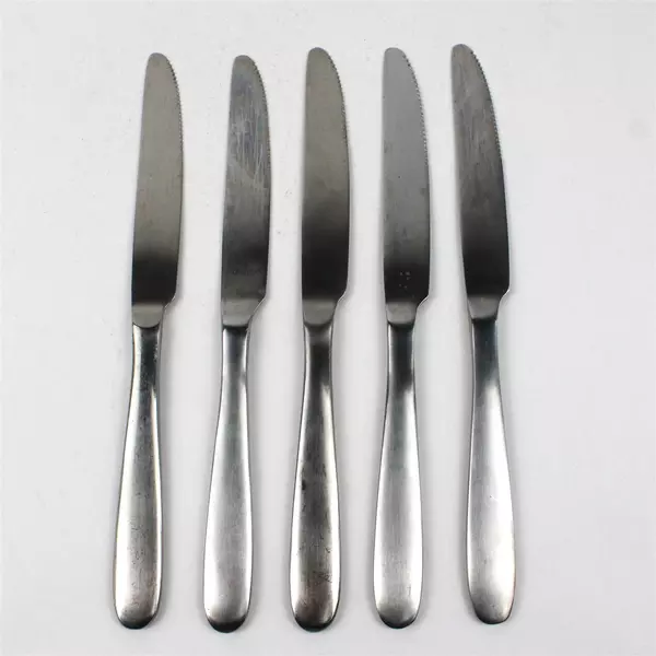 Lot Of 5 Oneida Silver Taylor (Stainless) Flatware Dinner Knives 9.5" Long