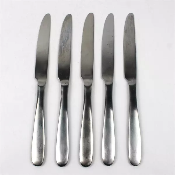 Lot Of 5 Oneida Silver Taylor (Stainless) Flatware Dinner Knives 9.5" Long
