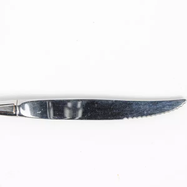 Set of 4 Oneida Classic Mood Stainless Hollow Steak Knives 9" 