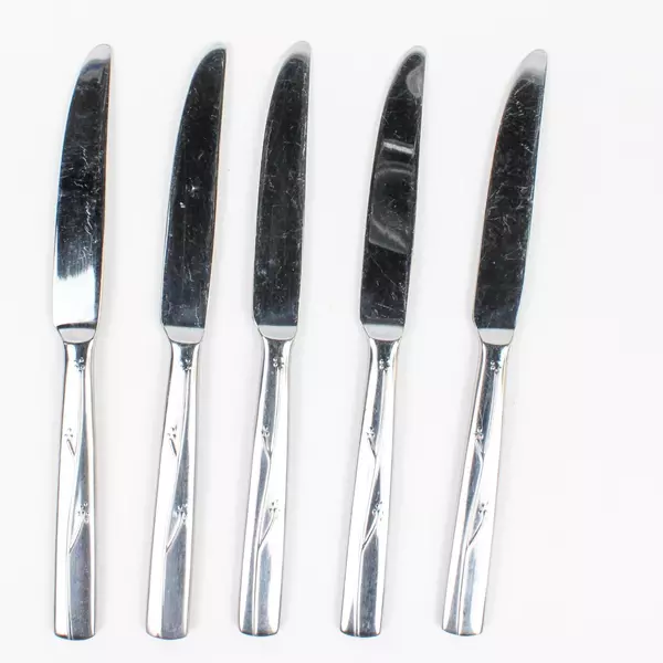 Lot of 5 Reed & Barton Fiori Stainless 18/10 Dinner Knives 9.5 Inches