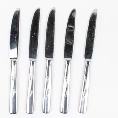 Lot of 5 Reed & Barton Fiori Stainless 18/10 Dinner Knives 9.5 Inches