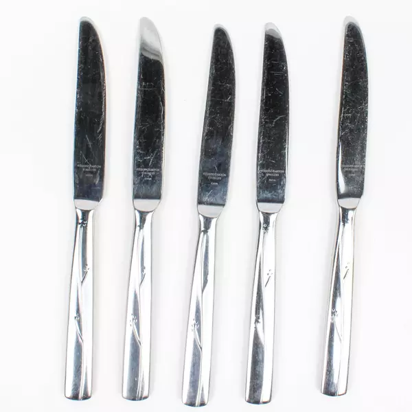 Lot of 5 Reed & Barton Fiori Stainless 18/10 Dinner Knives 9.5 Inches