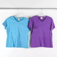 Lot of 2 Partners by Mervyn's Short-Sleeve T-Shirts Women's XL Blue and Purple