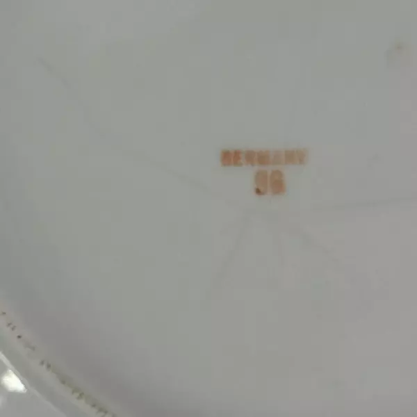 Vintage Floral Pattern Porcelain Plate With Handles From Germany