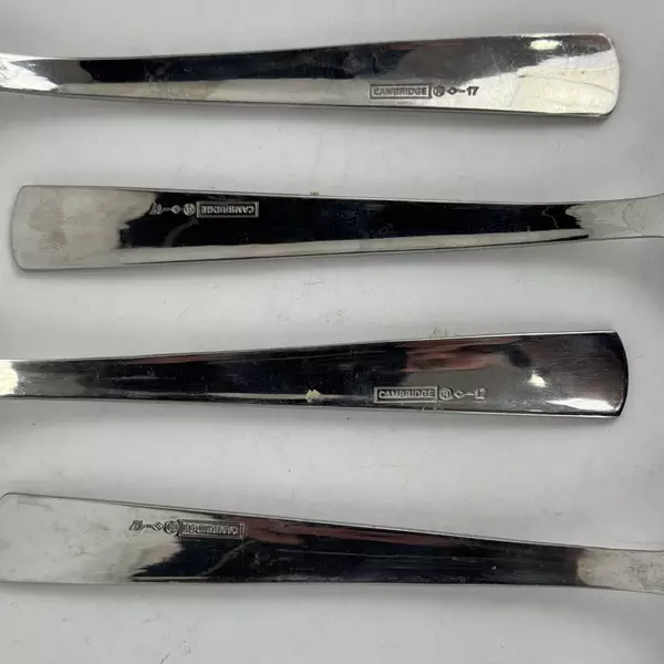 Lot of 4 Cambridge Soup Spoons Boa Frost Stainless Steel 7 7/8" Made in China