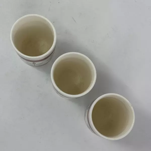 3 MCM Royal Sealy White Floral Juice Cups With Orange And Green Bands