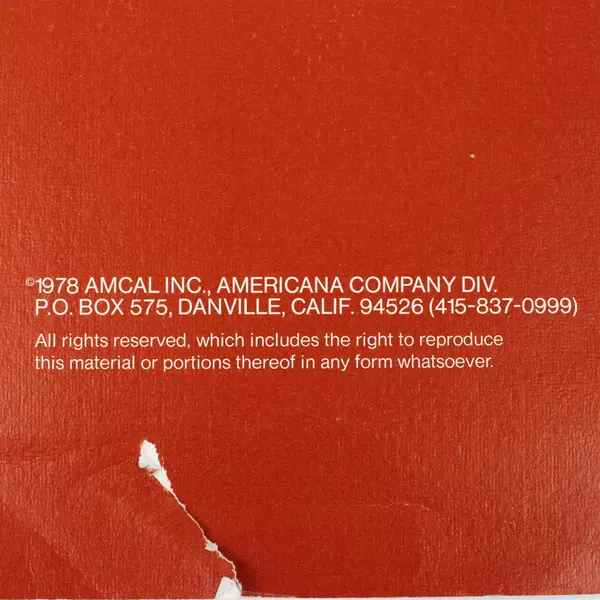 1979 The Americana Calendar Designed by Charles Wysocki Vintage Amcal Inc 