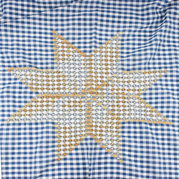 Unbranded Blue/White Gingham Tablecloth Hand Embroidered Stars 54" x 42"