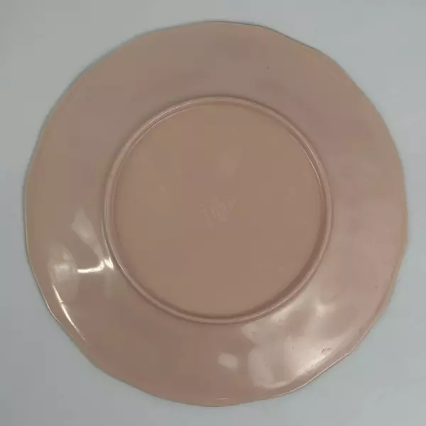 2 Opalhouse Orchid and Tropical Bird Melamine Dinner Plates 10.75 Inch