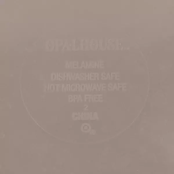 2 Opalhouse Orchid and Tropical Bird Melamine Dinner Plates 10.75 Inch