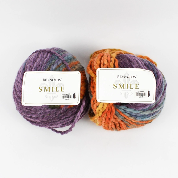 Lot of 2 Reynolds Smile Acrylic Wool Blend Yarn Skeins Multicolor Harvest