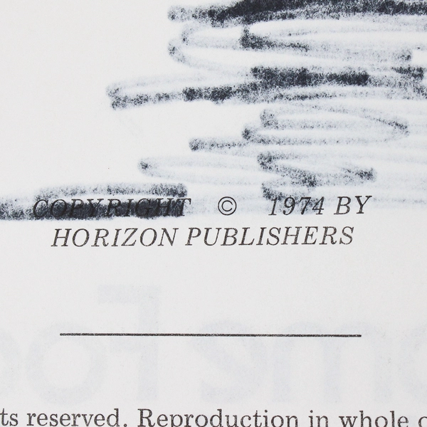 Home Food Dehydrating by Jay and Shirley Bills 1974 Spiral Bound Paperback