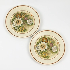 Set of 2 VTG Lenox Temperware Magic Garden Dinner Plates 10"