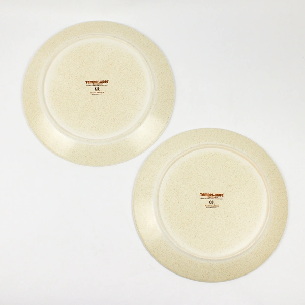 Set of 2 VTG Lenox Temperware Magic Garden Dinner Plates 10"