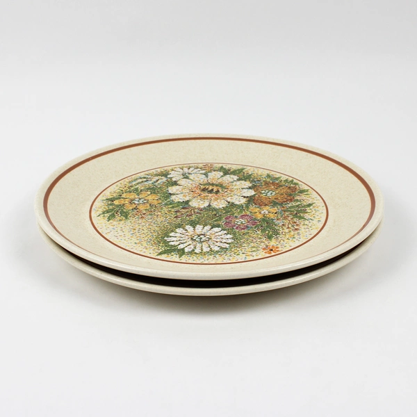 Set of 2 VTG Lenox Temperware Magic Garden Dinner Plates 10"