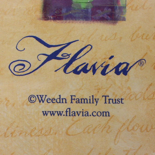 Flavia Weedn Family Memories Photo Album 50 Pages 4 x 6 in 200 Photos Negatives
