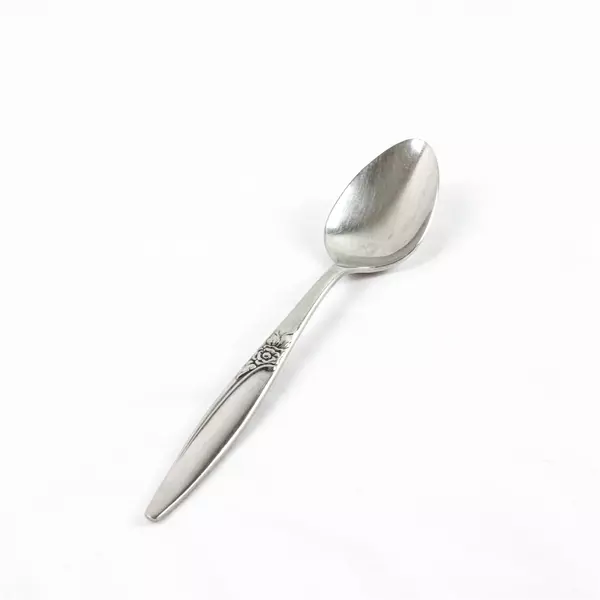 Lot of 20 Oneida Highland Rose Spoons Stainless Steel