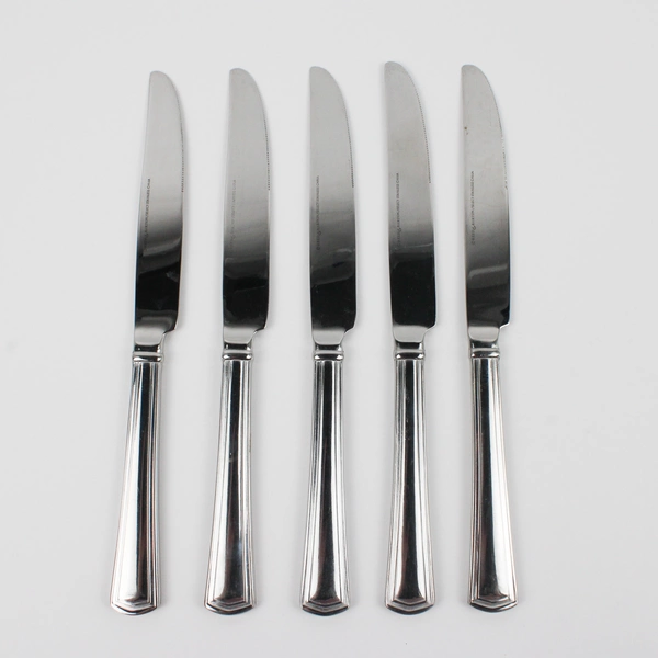 Lot Of 5 Reed & Barton Palladian (Stainless) Flatware Solid Dinner Knives 9.75"