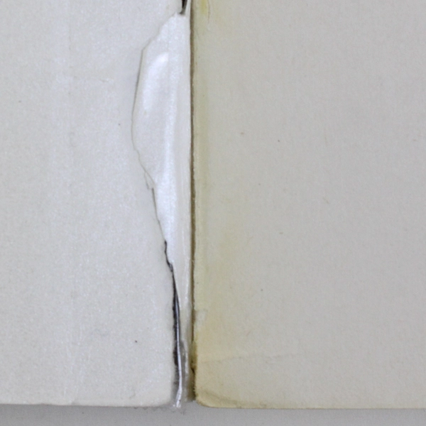 What Light by Jay Asher 2017 Penguin Random House Paperback